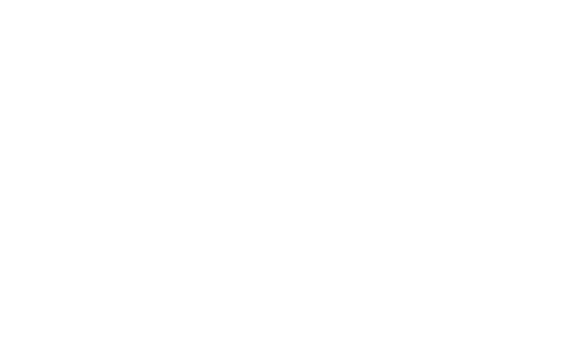 Logo blanco Aceros Torices